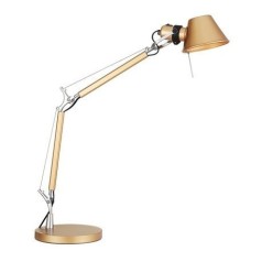 Офисная настольная лампа Legend 2839-1T Favourite
