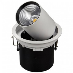 Карданный светильник DesignLed SPL-R1-25-NW